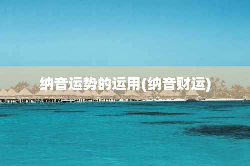 纳音运势的运用(纳音财运)