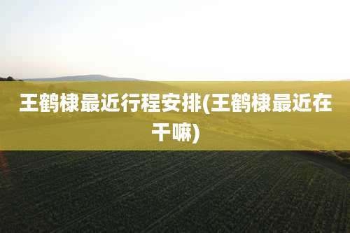 王鹤棣最近行程安排(王鹤棣最近在干嘛)