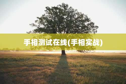 手相测试在线(手相实战)