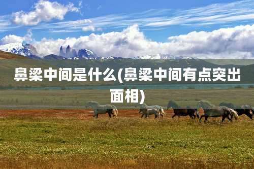 鼻梁中间是什么(鼻梁中间有点突出面相)