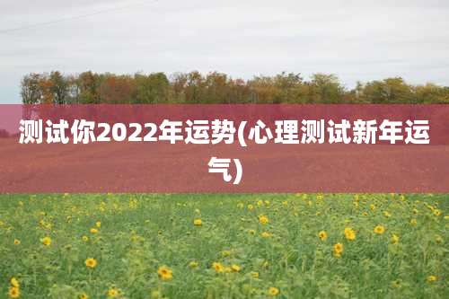测试你2022年运势(心理测试新年运气)