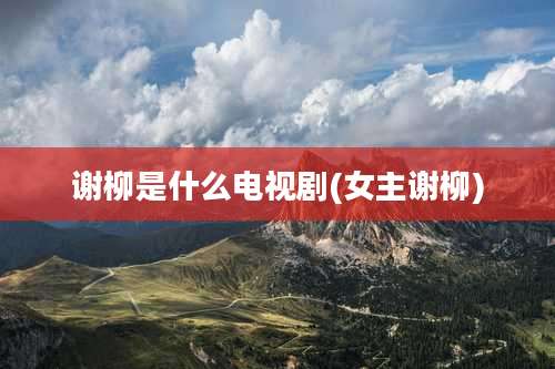 谢柳是什么电视剧(女主谢柳)