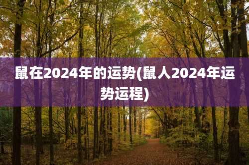 鼠在2024年的运势(鼠人2024年运势运程)