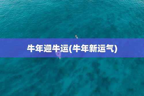 牛年迎牛运(牛年新运气)