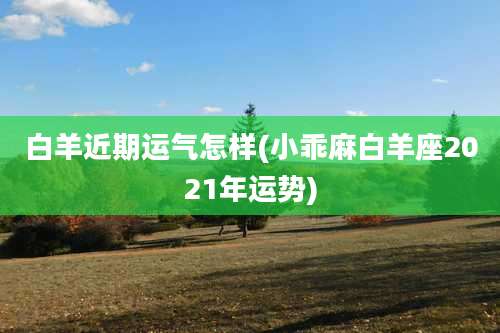 白羊近期运气怎样(小乖麻白羊座2021年运势)