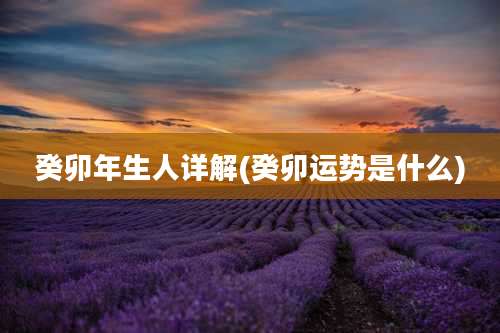 癸卯年生人详解(癸卯运势是什么)