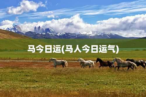 马今日运(马人今日运气)