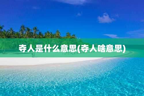 夺人是什么意思(夺人啥意思)