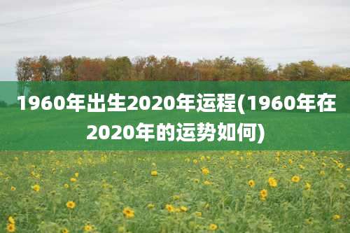 1960年出生2020年运程(1960年在2020年的运势如何)