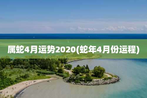 属蛇4月运势2020(蛇年4月份运程)