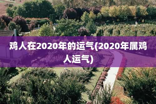 鸡人在2020年的运气(2020年属鸡人运气)