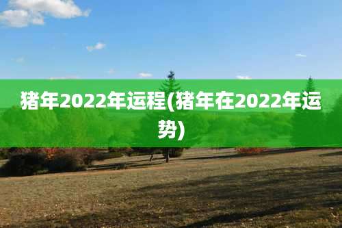 猪年2022年运程(猪年在2022年运势)