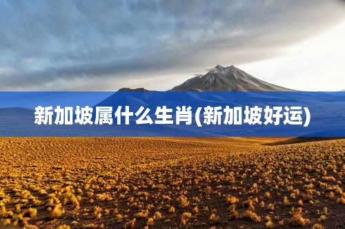 新加坡属什么生肖(新加坡好运)