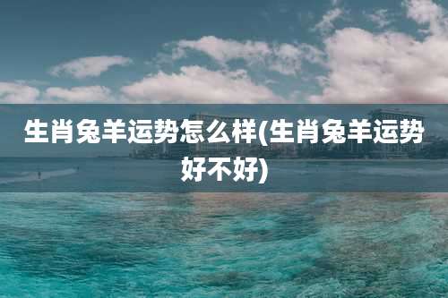 生肖兔羊运势怎么样(生肖兔羊运势好不好)