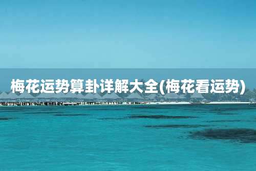 梅花运势算卦详解大全(梅花看运势)