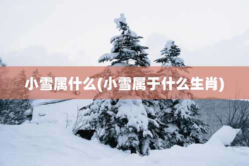 小雪属什么(小雪属于什么生肖)