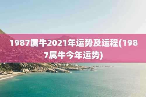 1987属牛2021年运势及运程(1987属牛今年运势)