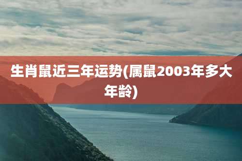 生肖鼠近三年运势(属鼠2003年多大年龄)