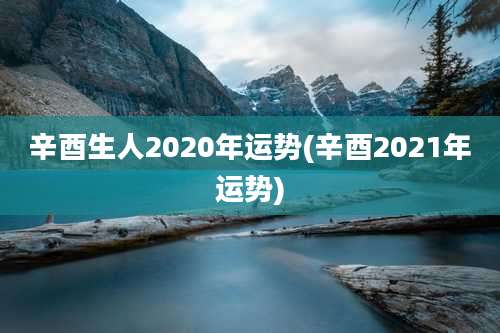 辛酉生人2020年运势(辛酉2021年运势)