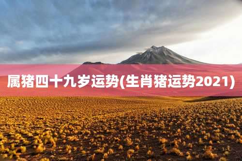 属猪四十九岁运势(生肖猪运势2021)
