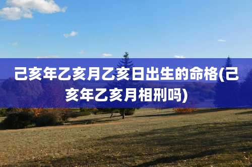 己亥年乙亥月乙亥日出生的命格(己亥年乙亥月相刑吗)