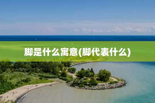 脚是什么寓意(脚代表什么)