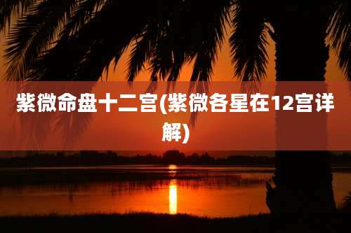 紫微命盘十二宫(紫微各星在12宫详解)