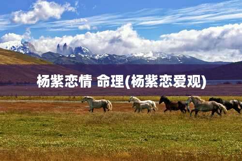 杨紫恋情 命理(杨紫恋爱观)