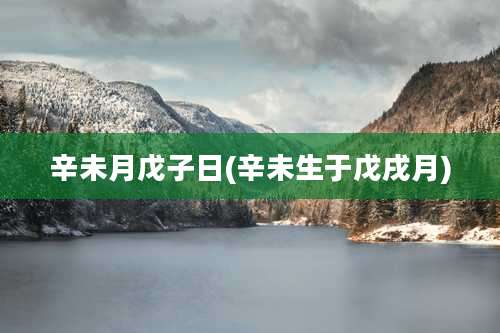 辛未月戊子日(辛未生于戊戌月)