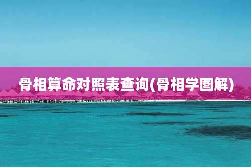 骨相算命对照表查询(骨相学图解)