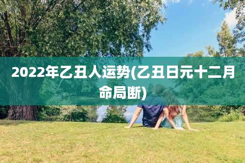 2022年乙丑人运势(乙丑日元十二月命局断)