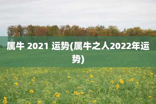 属牛 2021 运势(属牛之人2022年运势)