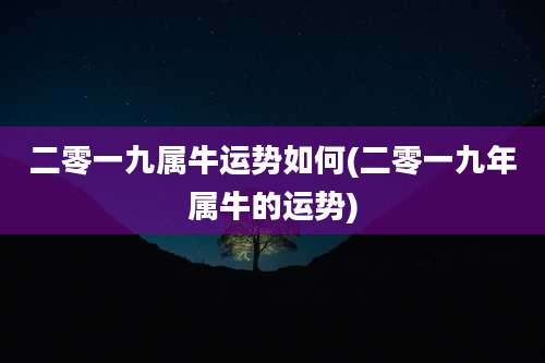 二零一九属牛运势如何(二零一九年属牛的运势)