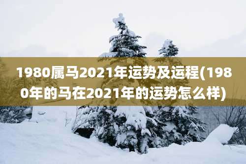 1980属马2021年运势及运程(1980年的马在2021年的运势怎么样)