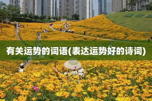 有关运势的词语(表达运势好的诗词)