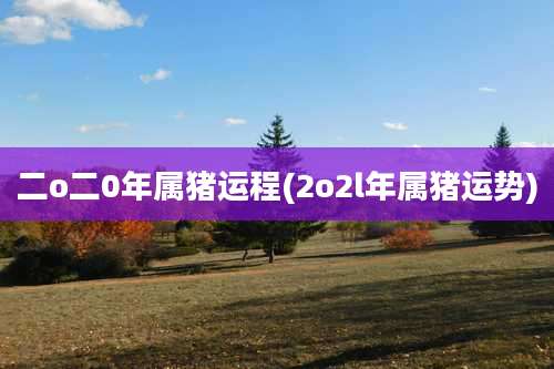 二o二0年属猪运程(2o2l年属猪运势)
