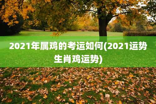 2021年属鸡的考运如何(2021运势生肖鸡运势)