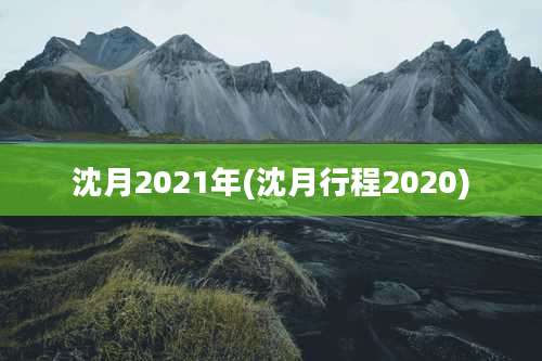 沈月2021年(沈月行程2020)