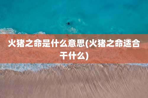 火猪之命是什么意思(火猪之命适合干什么)