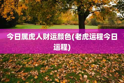 今日属虎人财运颜色(老虎运程今日运程)