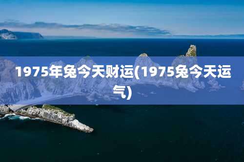 1975年兔今天财运(1975兔今天运气)
