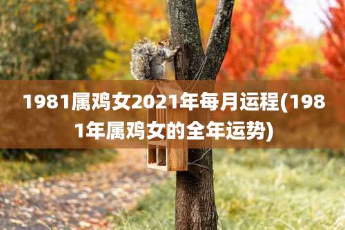 1981属鸡女2021年每月运程(1981年属鸡女的全年运势)