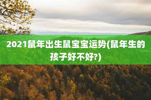 2021鼠年出生鼠宝宝运势(鼠年生的孩子好不好?)