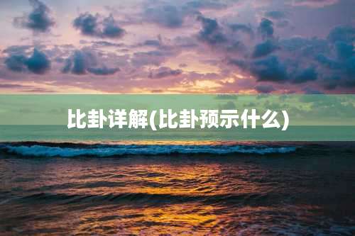 比卦详解(比卦预示什么)