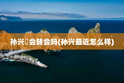 孙兴慜会转会吗(孙兴最近怎么样)