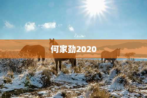 何家劲2020