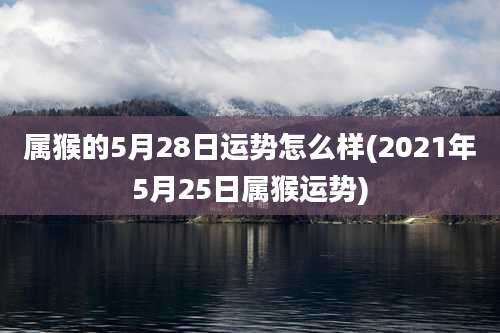 属猴的5月28日运势怎么样(2021年5月25日属猴运势)