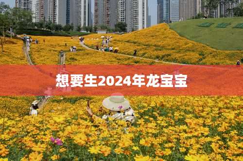 想要生2024年龙宝宝