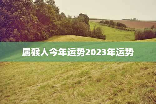 属猴人今年运势2023年运势