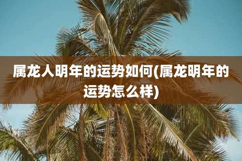 属龙人明年的运势如何(属龙明年的运势怎么样)